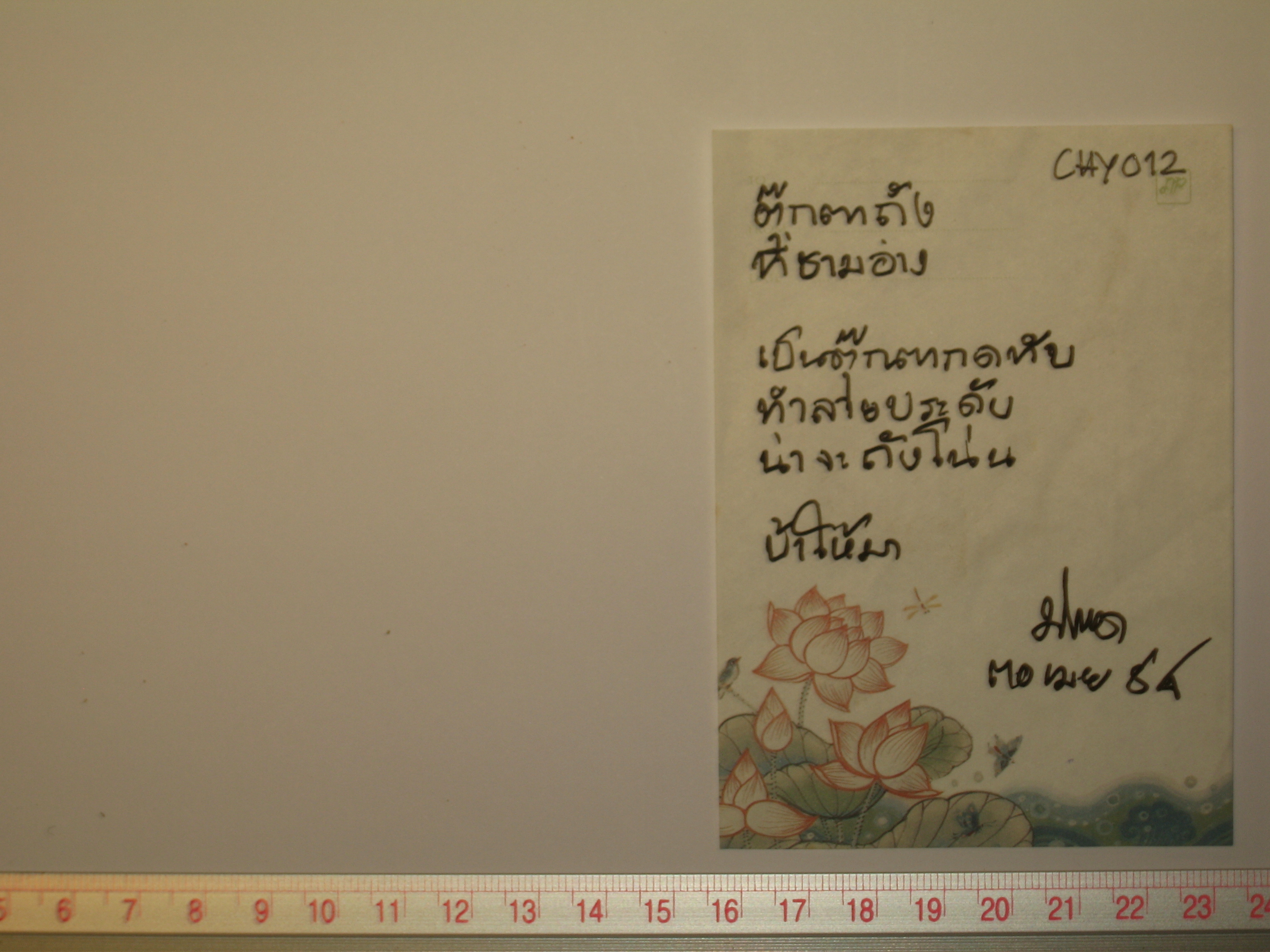 CHY 012.JPG